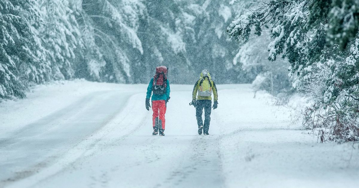 Lumetormis suunataju kaotanud mehe elupäästjaks sai tema koer
