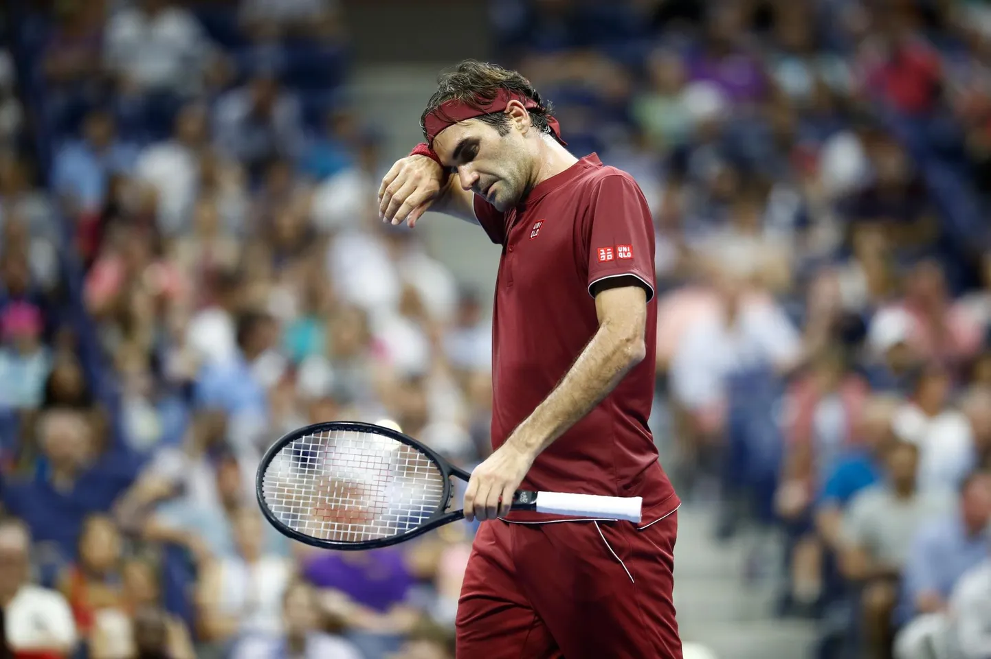 Roger Federer