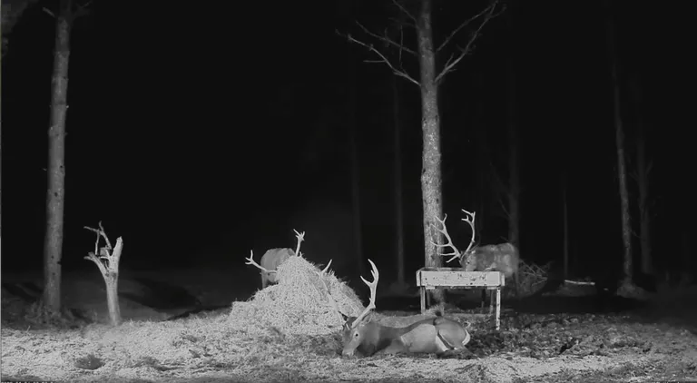 Kuvatõmmis videost.