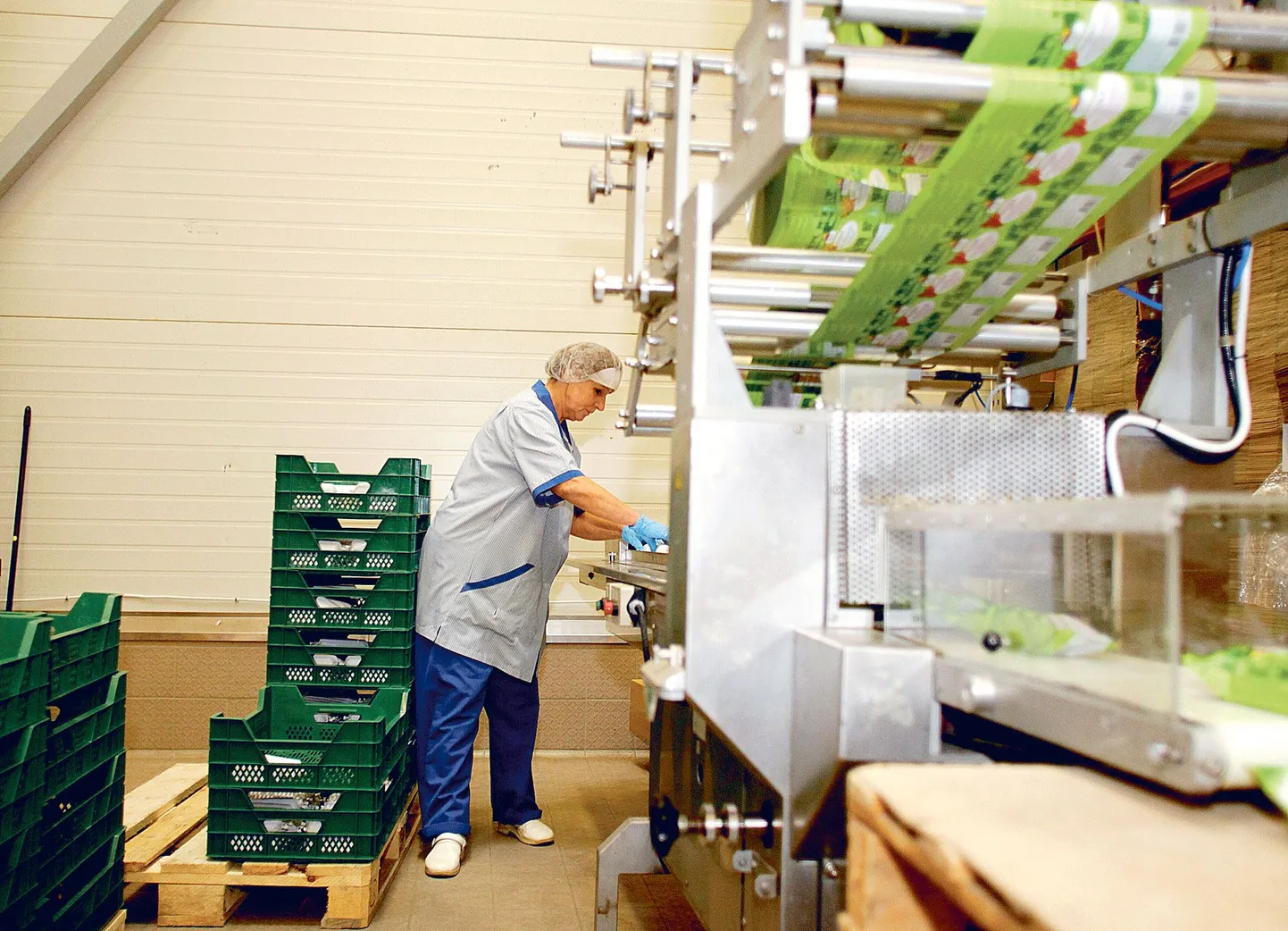 Kaarlijärve meierei töötaja Aleftriia Loim tõstis eile hommikul pakkimisliinile maasika-ricotta’t, mille esimene partii valmis ettevõttes laupäeval. Esialgu hakkab Kaarlijärvelt tulema paarkümmend tonni magusat vadakukohupiimapastat kuus.