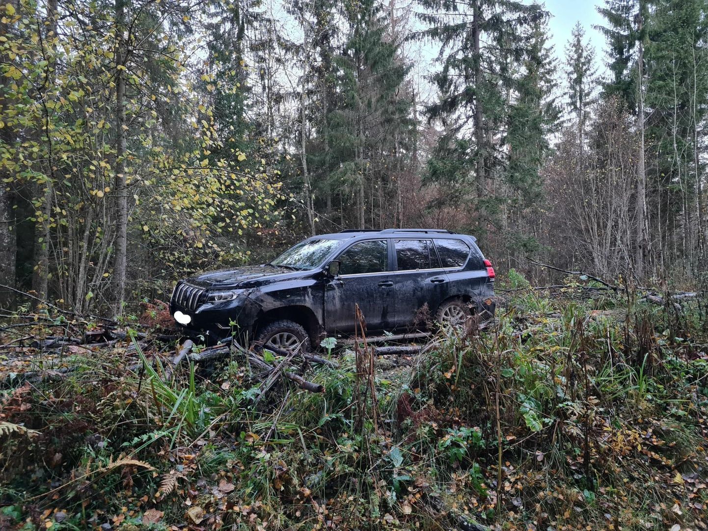 Toyota Land Cruiser jäeti metsa.