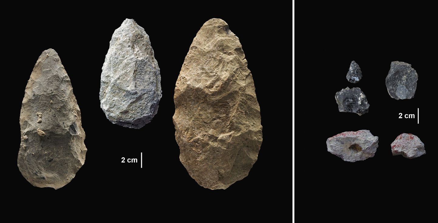 Keenia Olorgesailie piirkonnast leitud pihukirved (vasakul) ja väiksemad, spetsiaalselt töödeldud kiviterad, mida tõenäoliselt kasutati odaotstena.