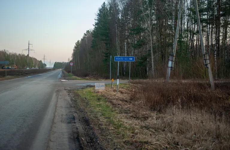 Фото статьи