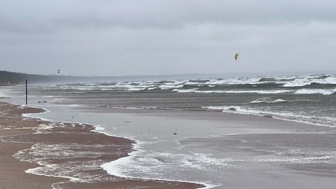 ФОТО ⟩ На берегу моря в Латвии сформировалось необычное природное явление