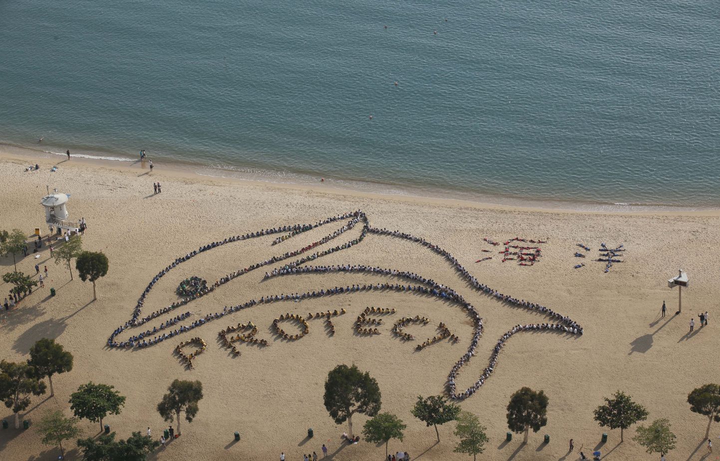 Гонконгские дети изобразили дельфина.