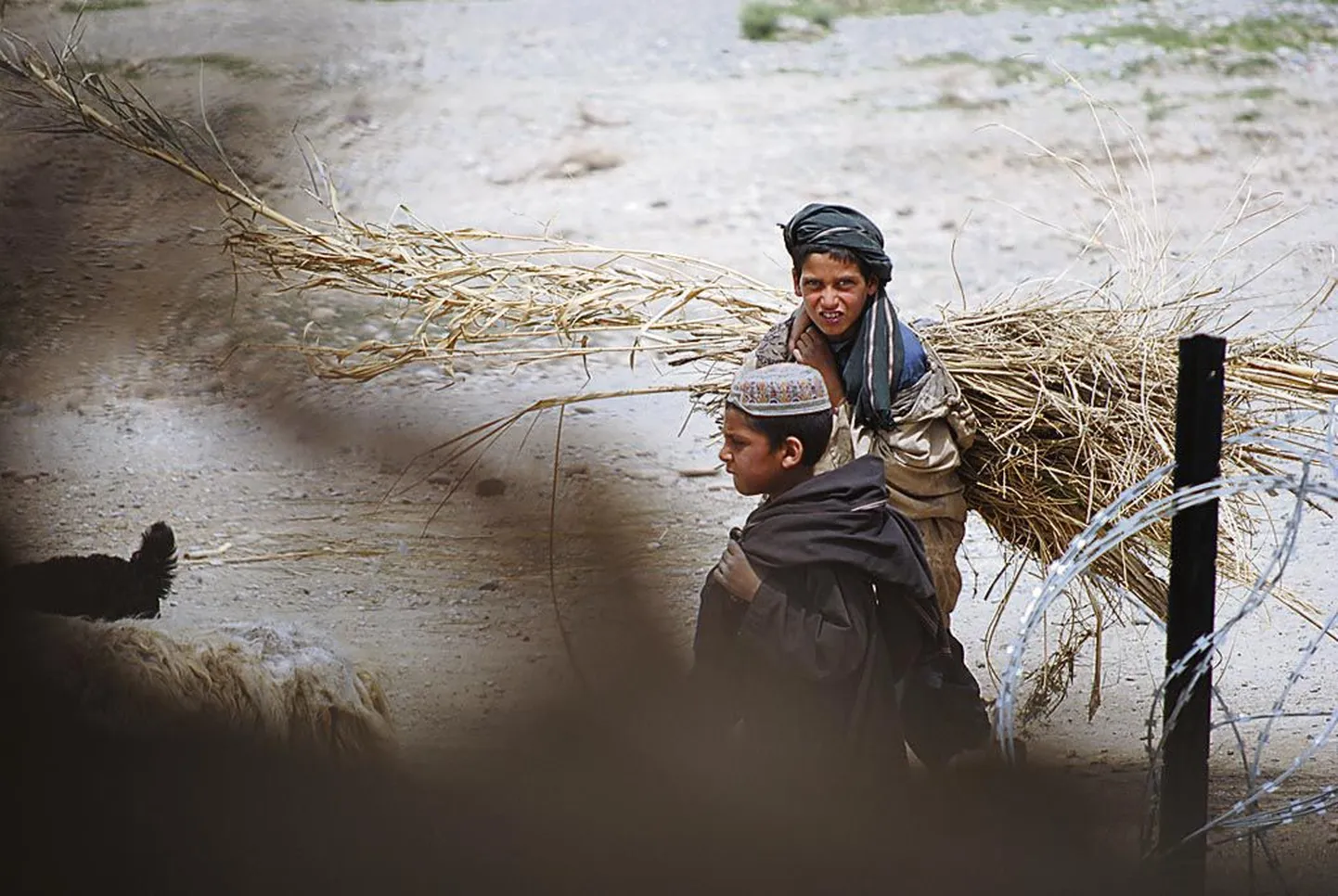 Sõda või mitte - Afganistani lapsed peavad juba maast madalast tööd tegema.