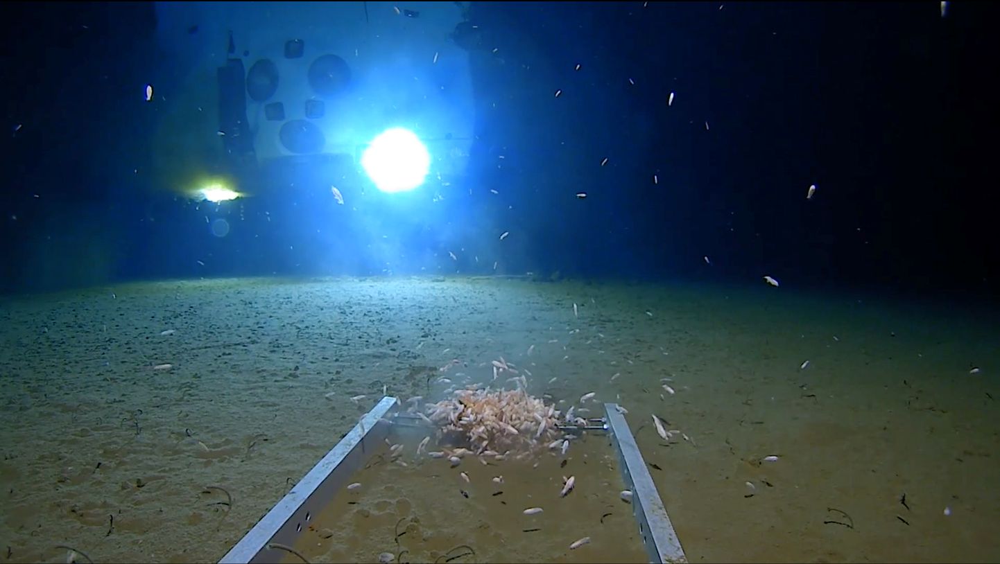 Uurimisallveelaev Mariaani süviku põhjas rohkem kui 10 000 meetri sügavusel