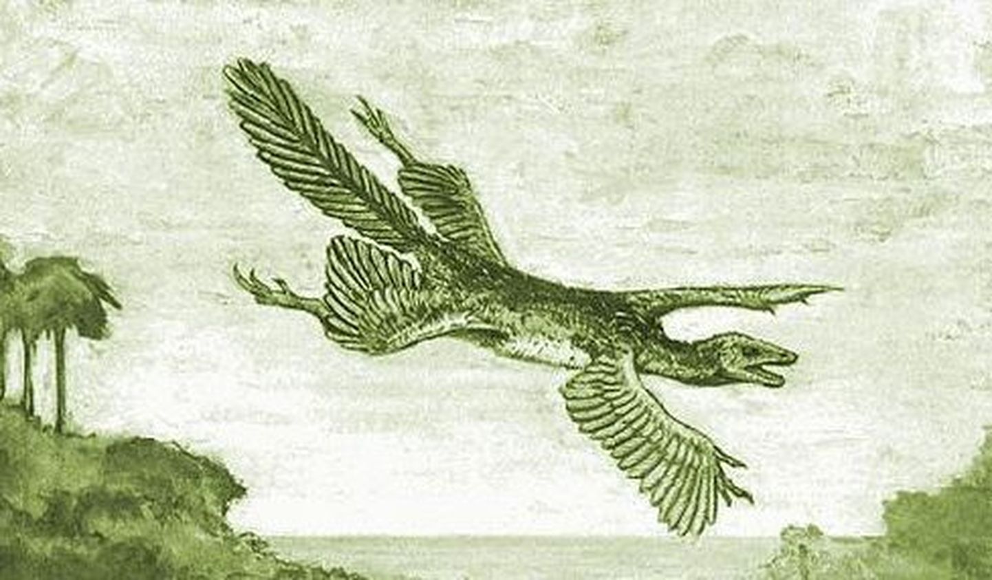Kunstniku nägemus nelja tiivaga varajasest linnust