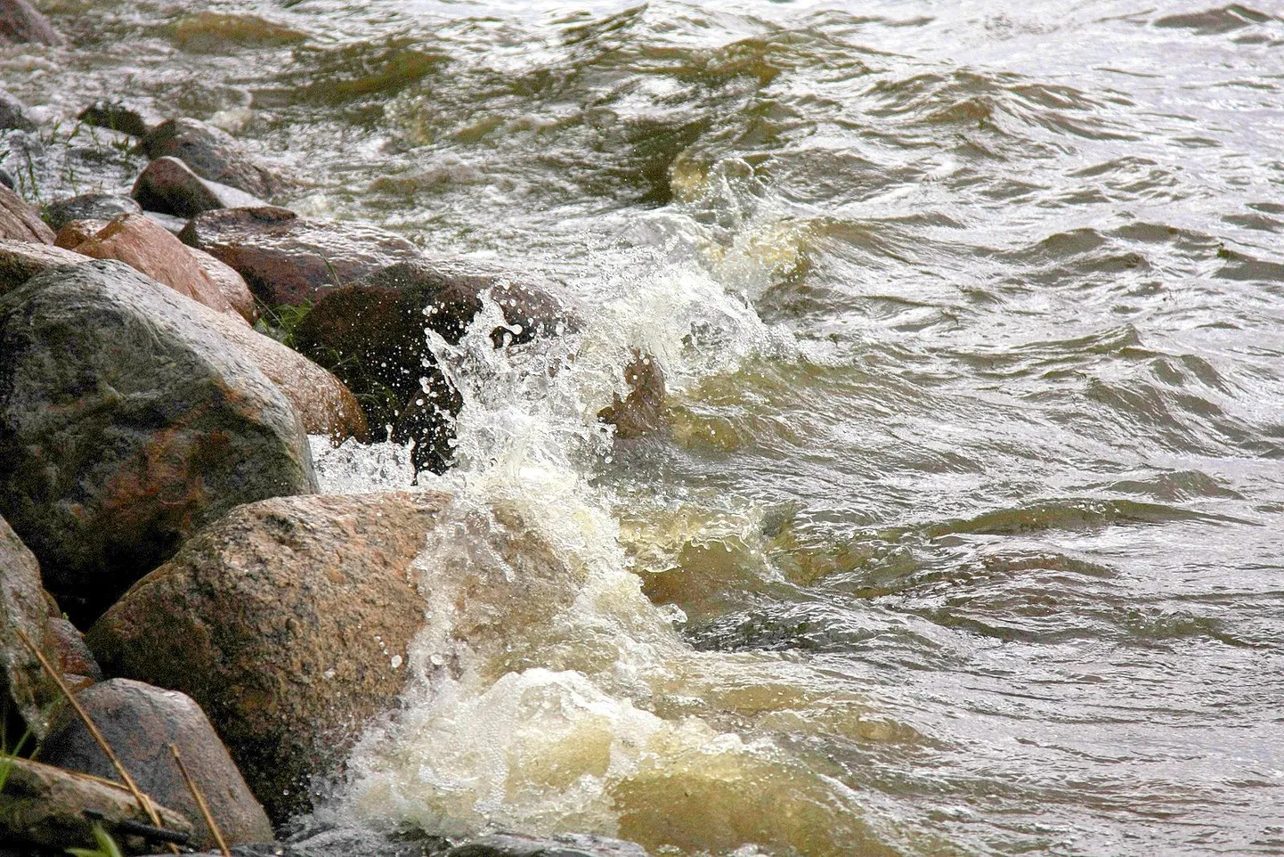 Võrtsjärv