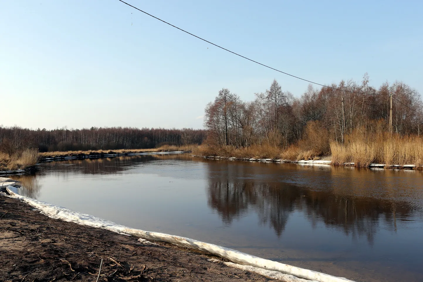 Üks looduslaagritest leiab aset Alam-Pedja looduskaitsealal.