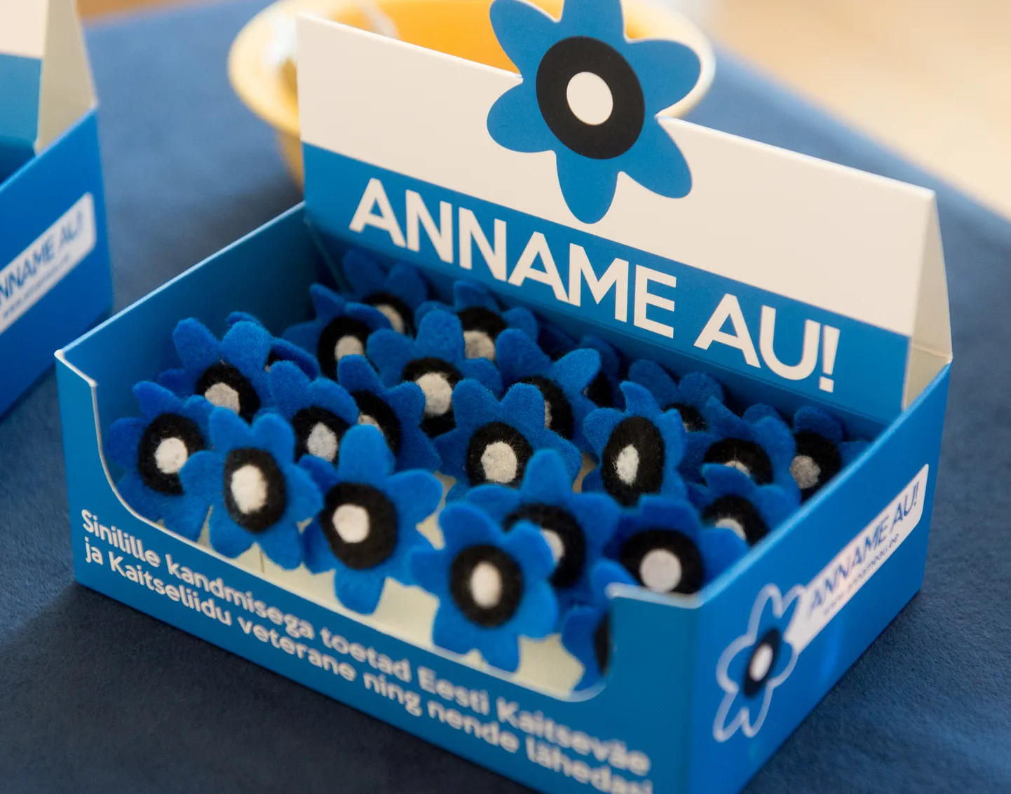 Sinilille kampaania «Anname au».