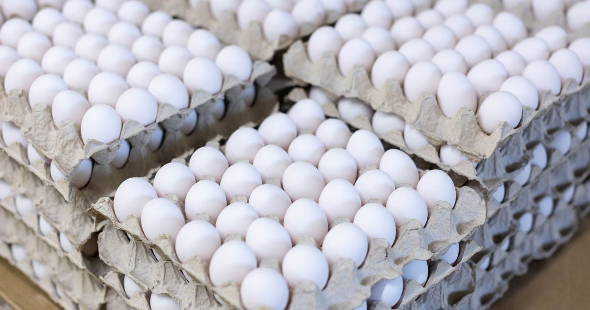 Prisma a dezvăluit dimensiunea creșterii vânzărilor de ouă albe în săptămâna Paștelui