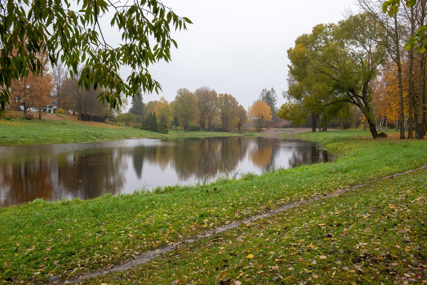 Eelmisel aastal võitis Viljandis kaasava eelarve võistluse Paala järve väikese osa puhastamine.