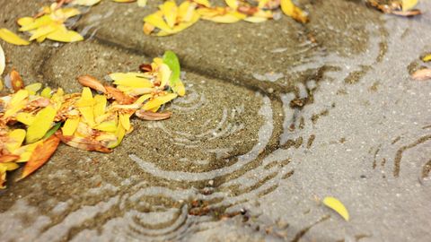 Ceturtdien vietām gaidāms lietus