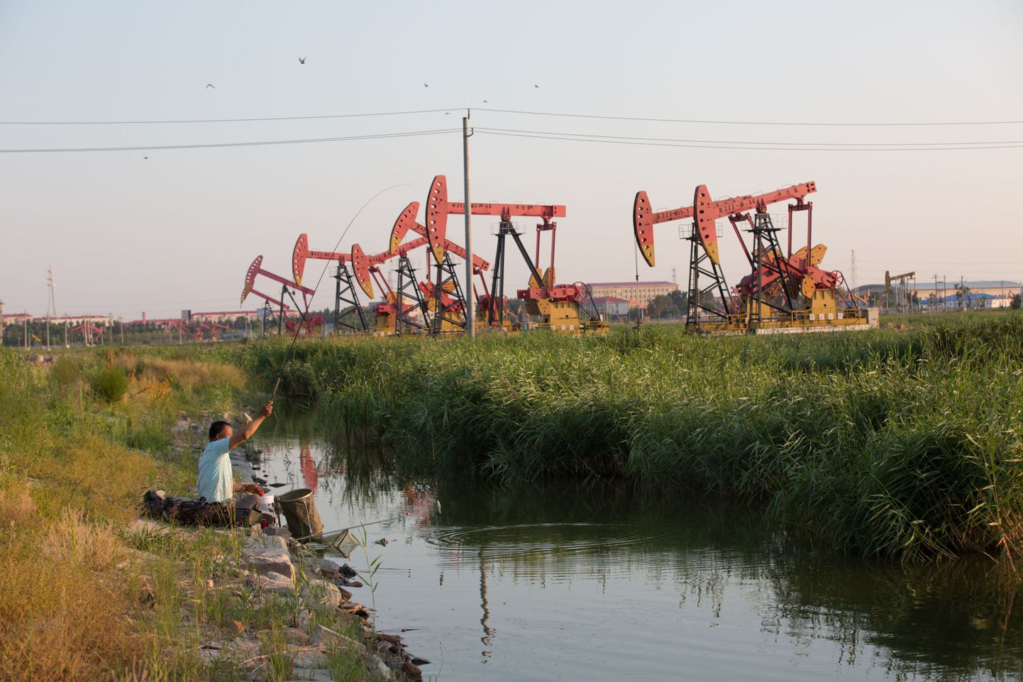 Daqingi naftamaardla Kirde-Hiinas.