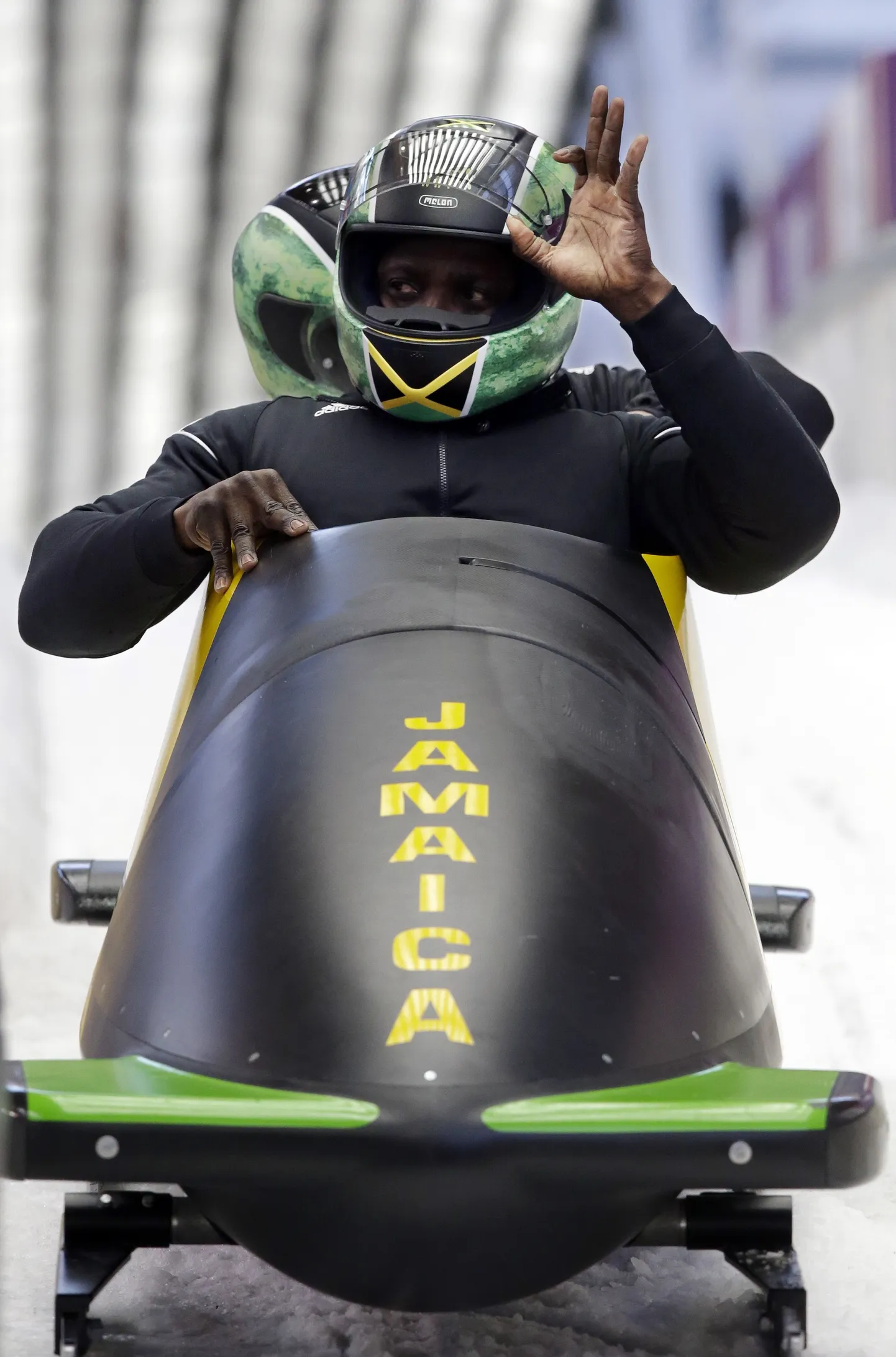 Jamaica bobikelgutajad.