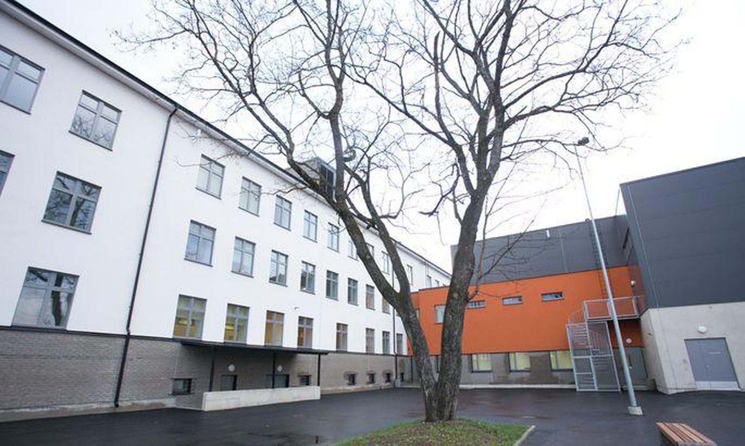 Maarjamaa hariduskolleegiumi Valgejõe õppekeskuse.