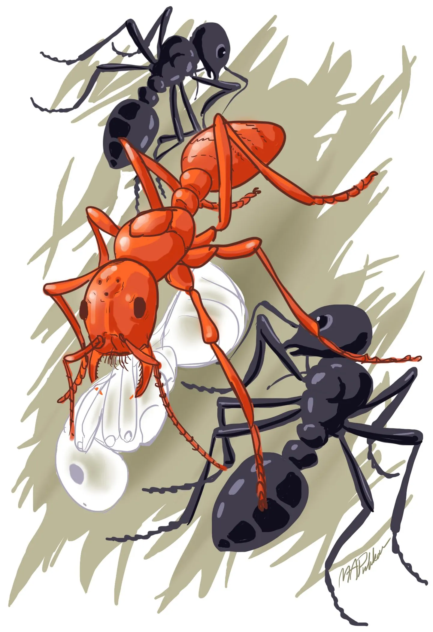Mark Antonius Puhkani illustratsioon
