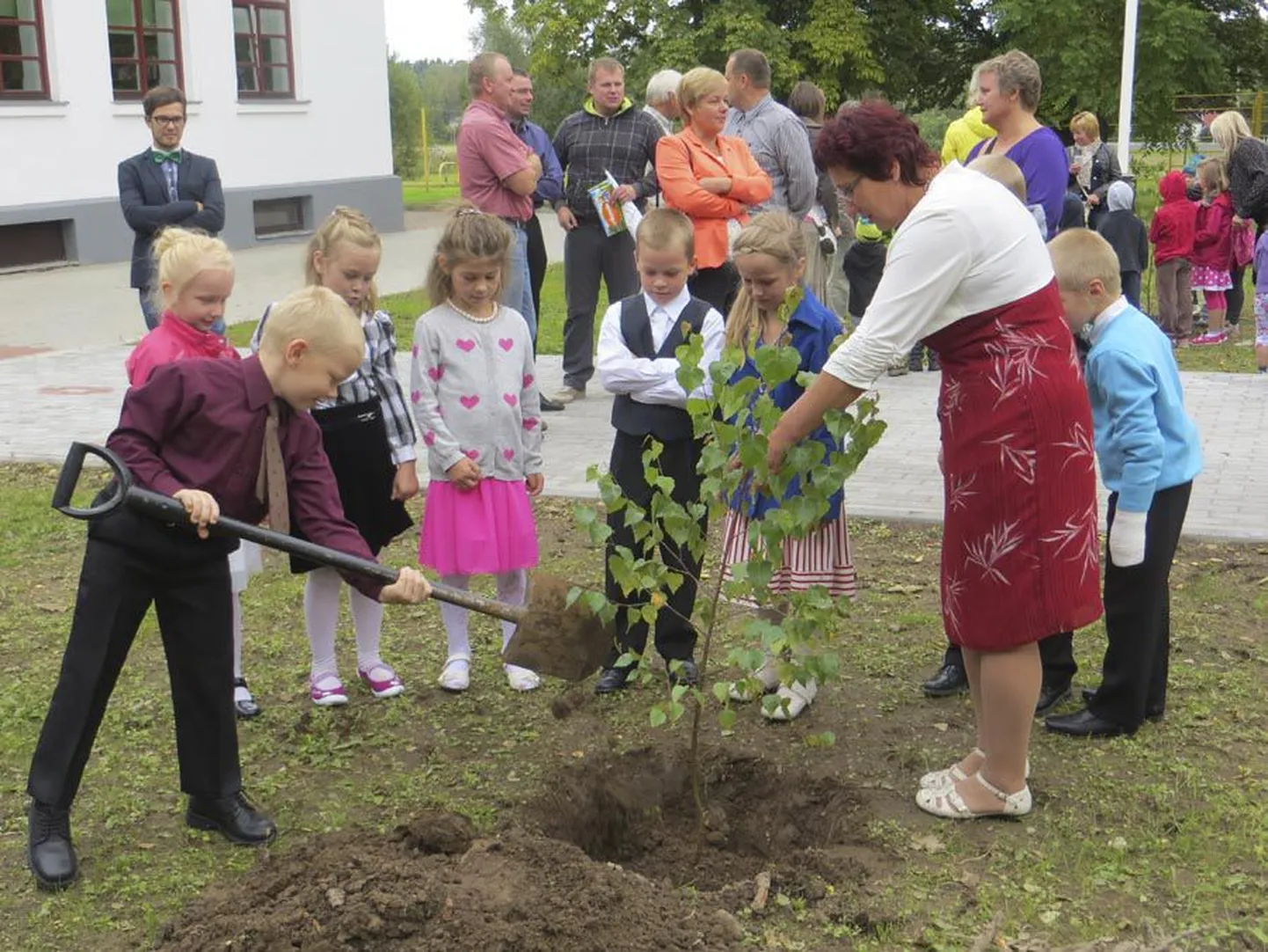 1. septembril istutasid Paistu kooli lapsed alleele uued kased. Labidaga töötab esimese klassi õpilane Rikko Riiner, teda abistab klassijuhataja Koidu Vaks.