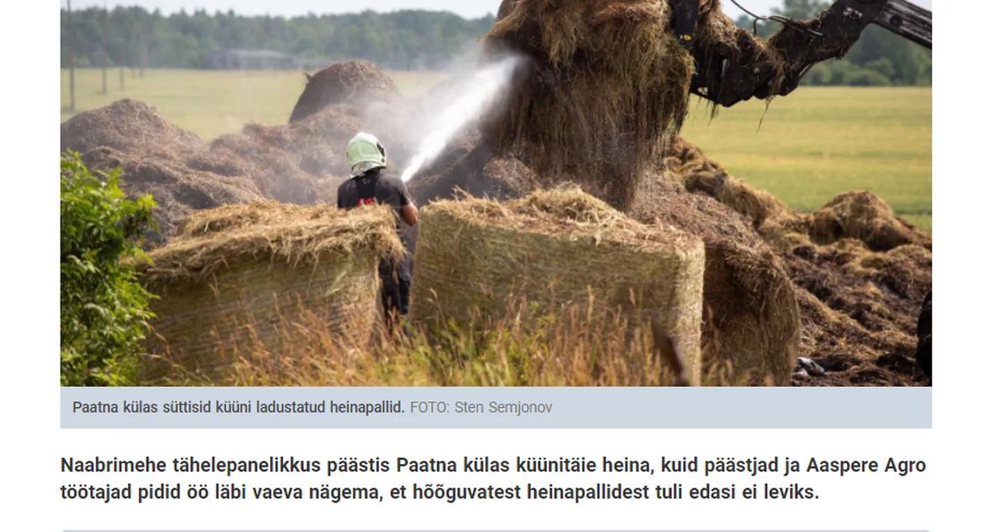 TikTokis löövad laineid rakverlanna kommentaarid Virumaa Teataja galeriile.