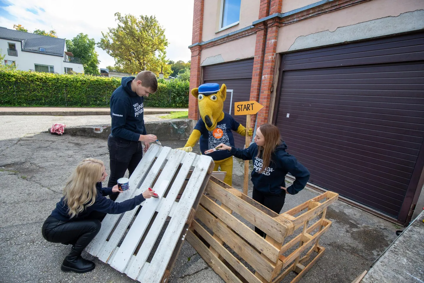 Maskott Villem andis neljapäeval koos abilistega üliõpilasmaja juures festivali rekvisiitidele viimast lihvi.