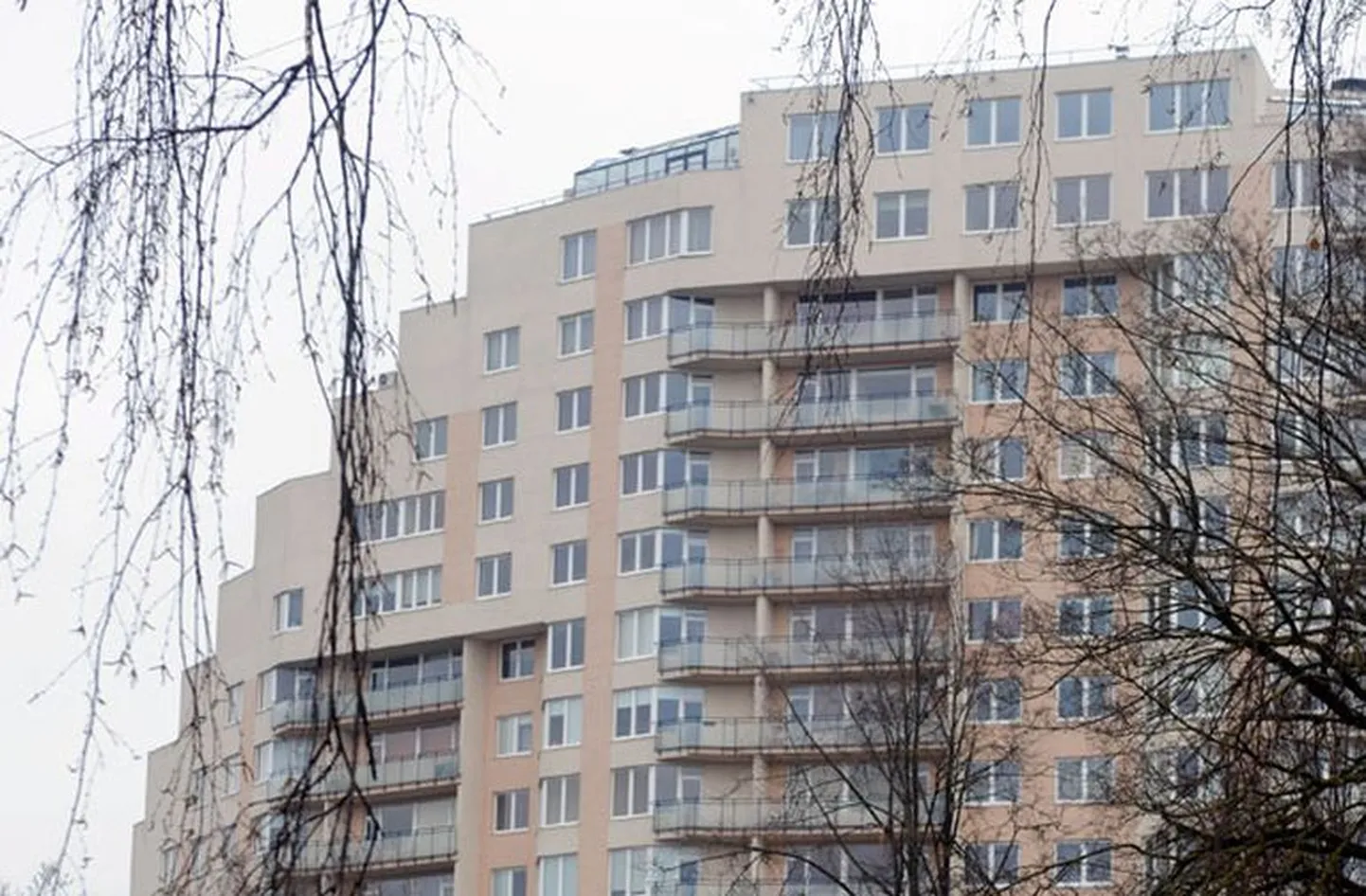 Фото статьи