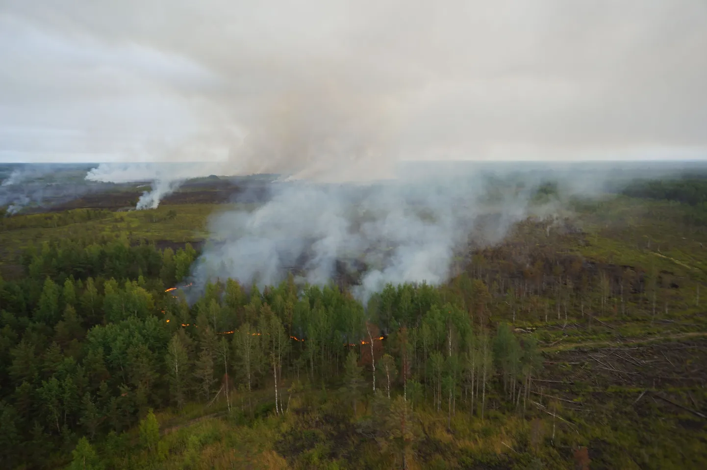 Rabapõleng. Pilt on illustreeriv.