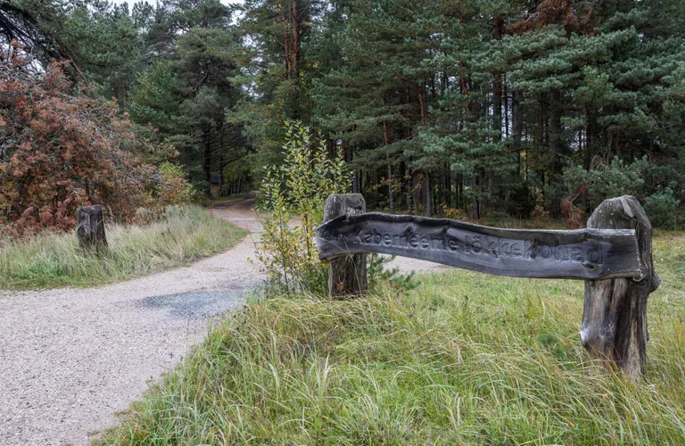 Kaberneemes asuv lõkkekoht, mille ligidal toimusid orienteerumisvõistlused. Loo kooli õpilane hukkus selle lähedal.