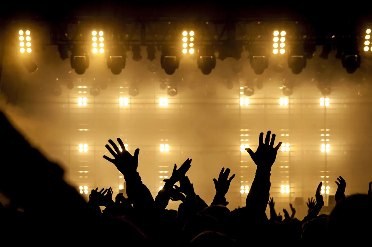 Festival