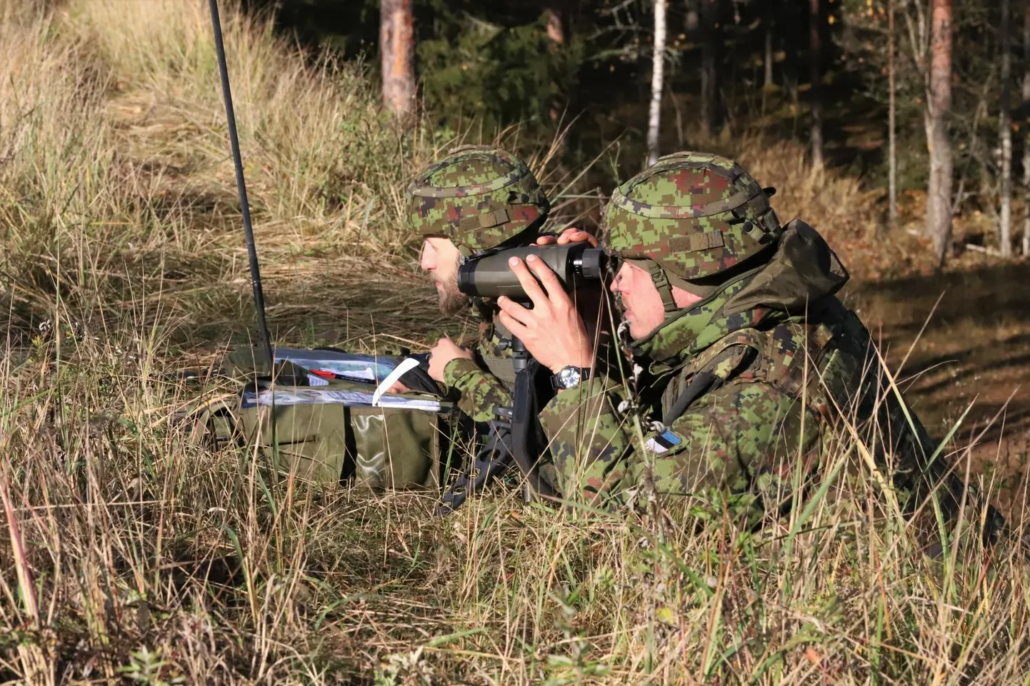 Umbes tuhandet inimest hõlmav Sibul kogub pärast väljaõpet hoogu ning selle aktiivne faas õppelahingutega on 11.–13. oktoobrini. Viljandimaal harjutatakse lahingutegevust Viljandi, Mulgi ja Põhja-Sakala valla alal. Lilli külla rajatakse kontroll-läbilaskepunk.