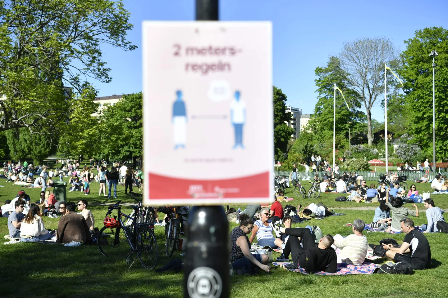 Rootslased nautimas Stockholmi Tantolundeni pargis ilusat ilma. Näha on silti, millel soovitataks ehoida kahemeetrist vahemaad