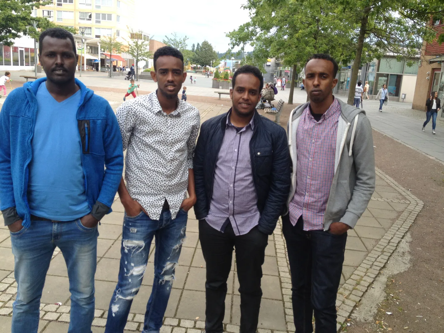 Immigrandid Rootsis