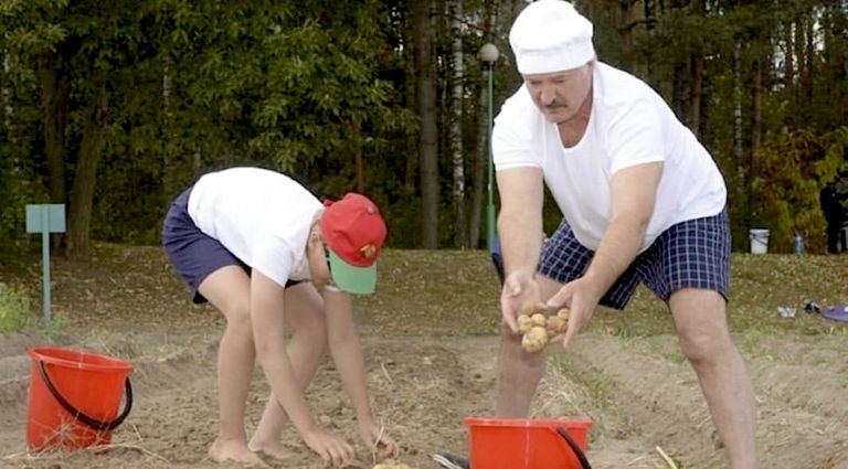 Batja Lukašenka kolhoosipõllul askeldamas