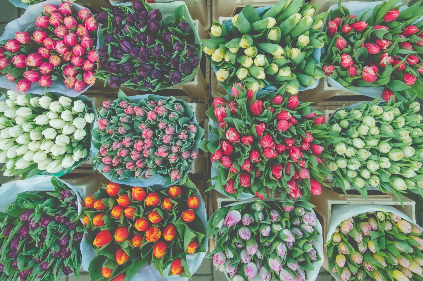 Foto: Tulpes un citi pavasara ziedi Rīgas Centrāltirgū