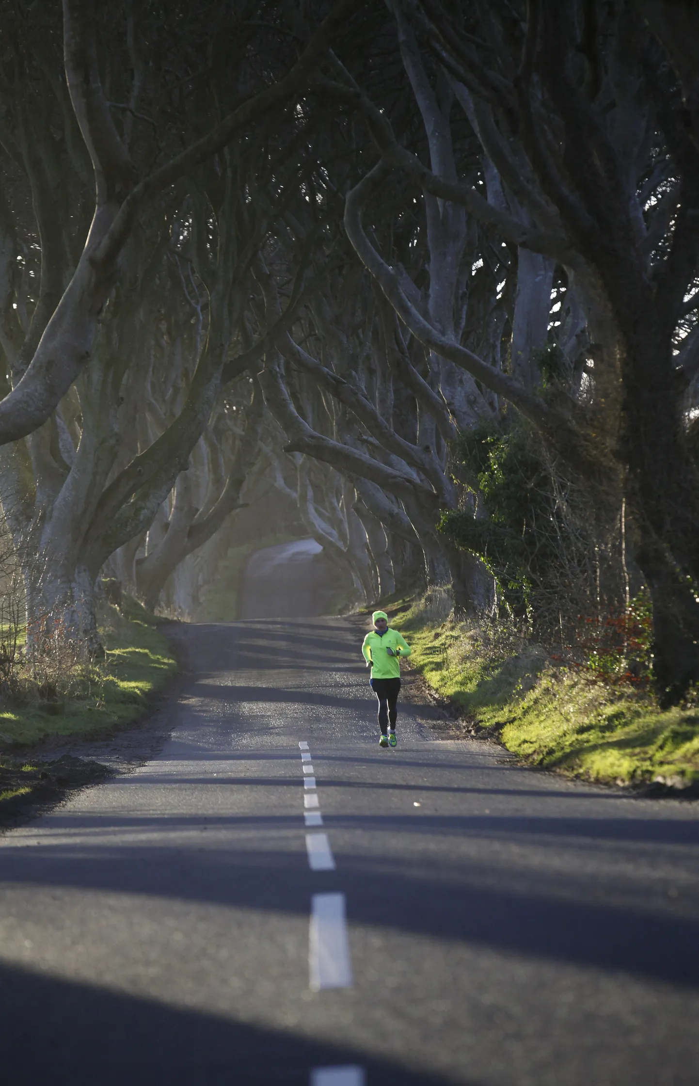 Seriaali Game of Thrones kaudu populaarseks saanud Dark Hedges.