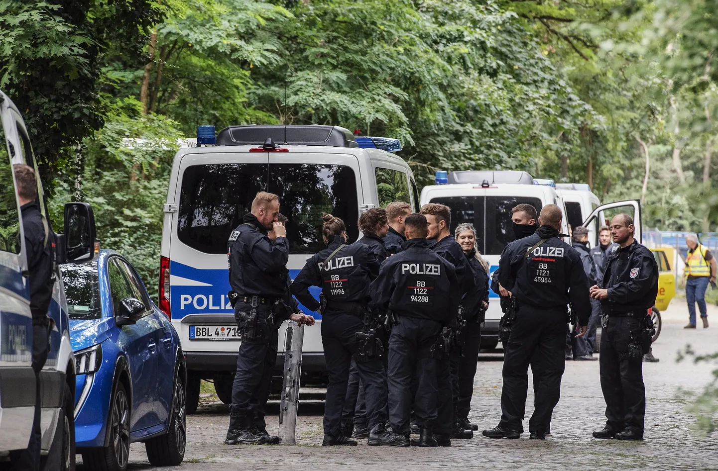 Полиция Берлина продолжает поиски сбежавшей львицы