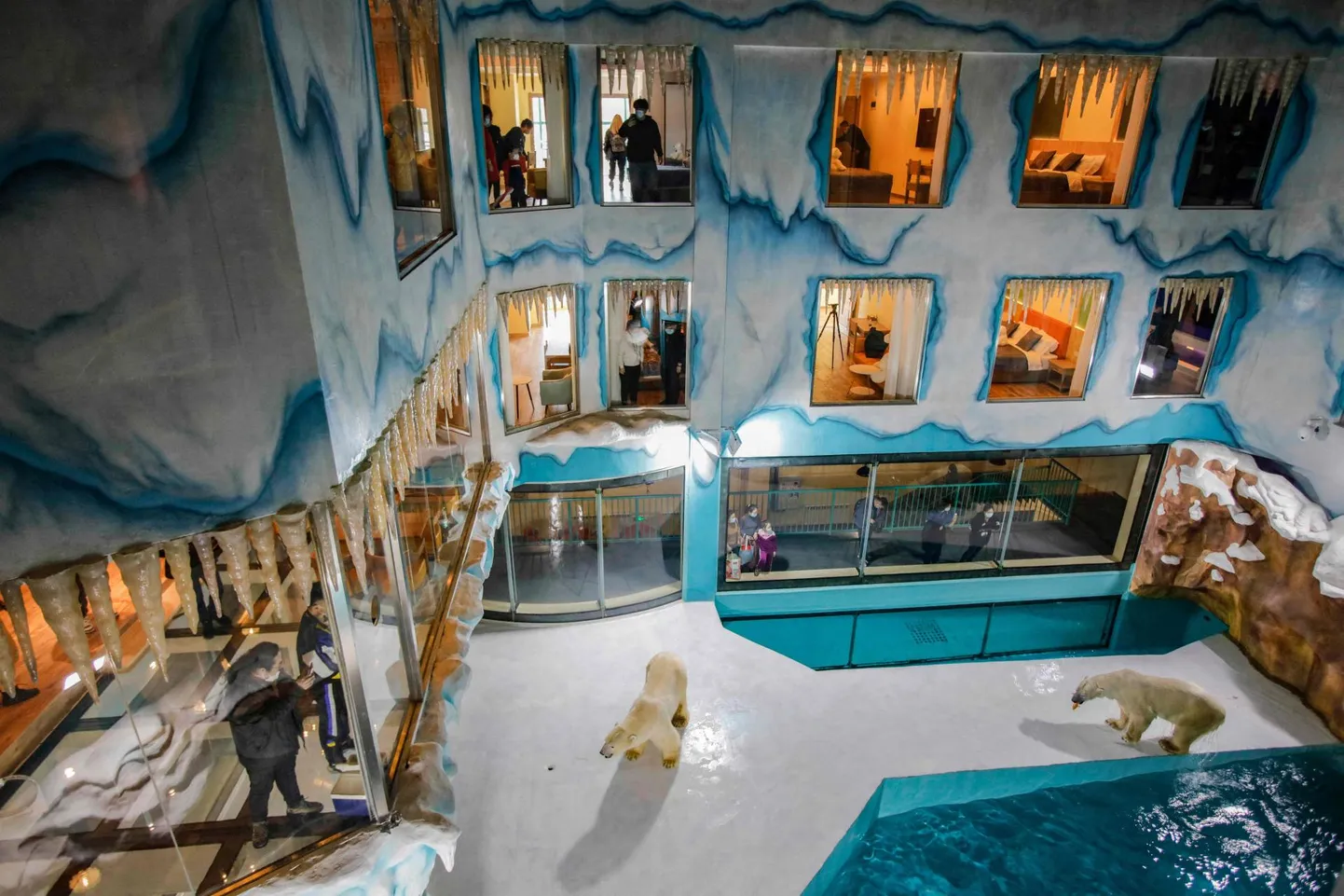 Jääkarud Polar Bear Hotelis Hiinas.