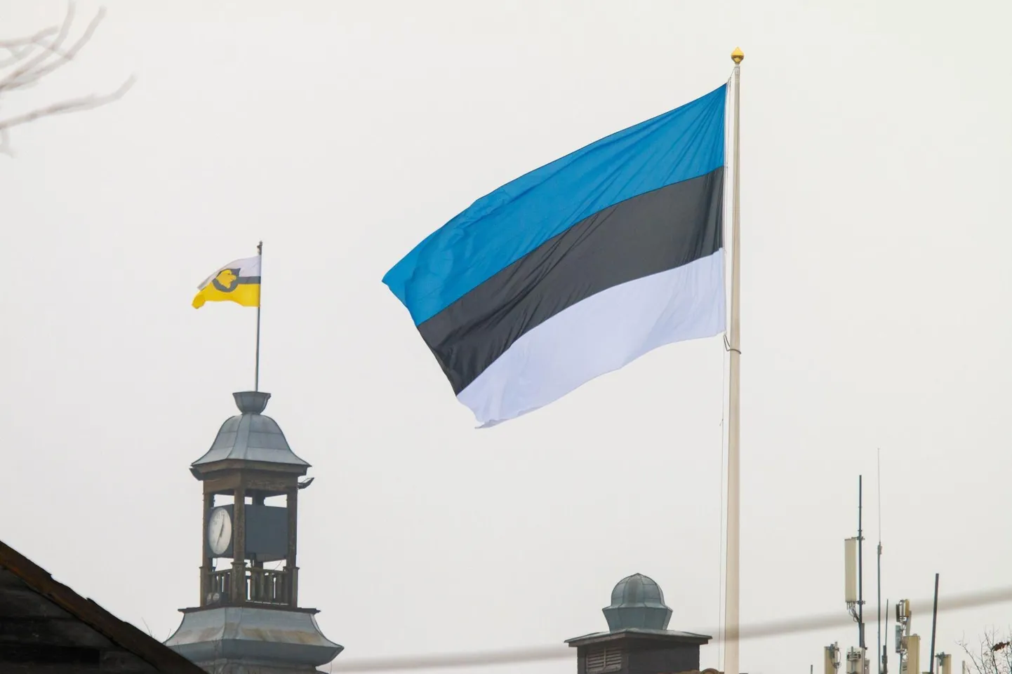 Eesti lipp ja Otepää valla lipp