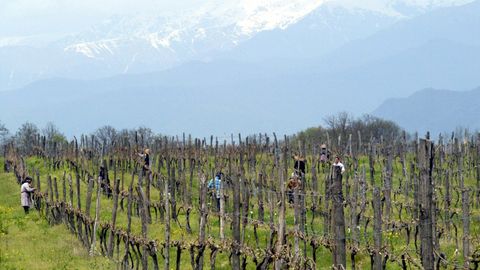 Tugev rahe laastas Gruusia tähtsaimat veinipiirkonda
