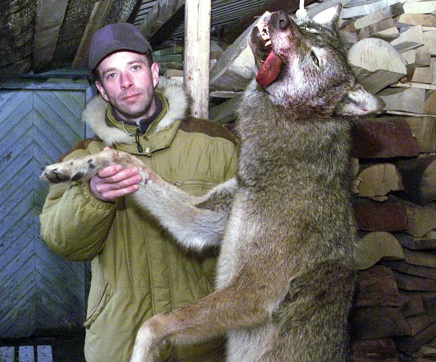 Hundijaht Pärnumaal. Foto on illustratiivne.