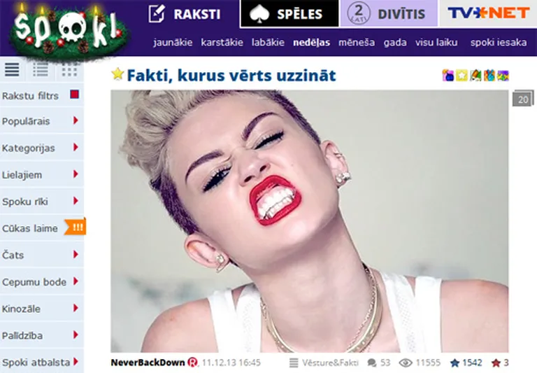 Raksta foto