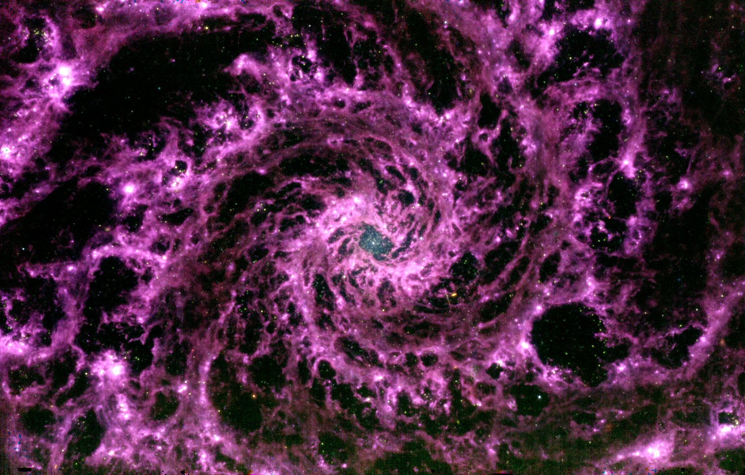 Kopenhaageni ülikooli astronoomi Gabriel Brammeri loodud Messier 74 kujutis on saadud Webbi kosmoseteleskoobi lähetatud andmetest. Lillad alad moodustuvad soojust kiirgavatest orgaanilistest molekulidest: sellega on kinnitust saadud oletusele, et seal moodustub orgaaniline aine.