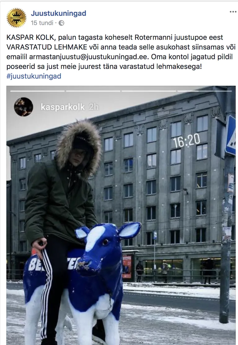 Juustukuningad nõuab tagasi varastatud lehma