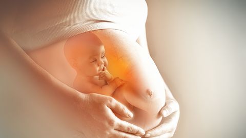 ÜLLATAVAD PILDID ⟩ Kas tead, milline näeb välja rasedus esimestel nädalatel?