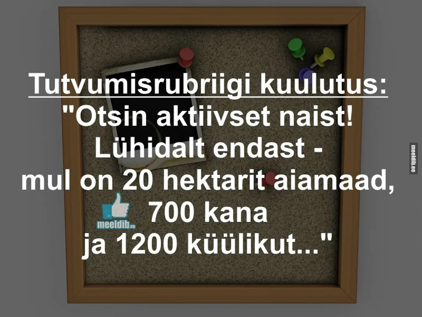 Artikli foto