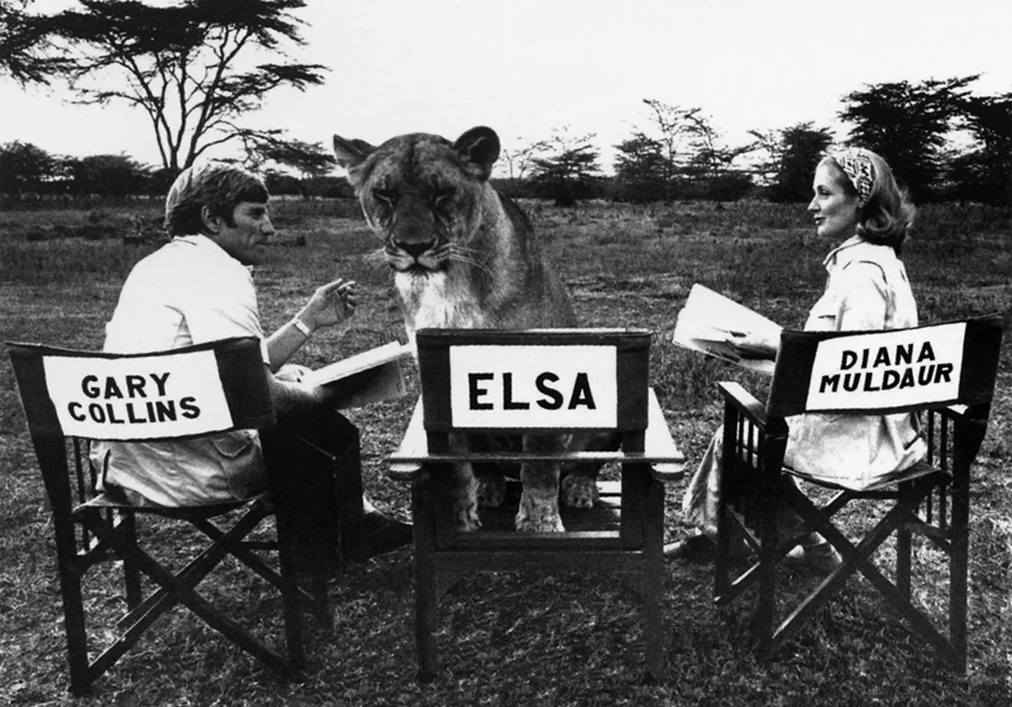 Elsa. Foto Ben Lerwilli raamatust «Staarloomad».