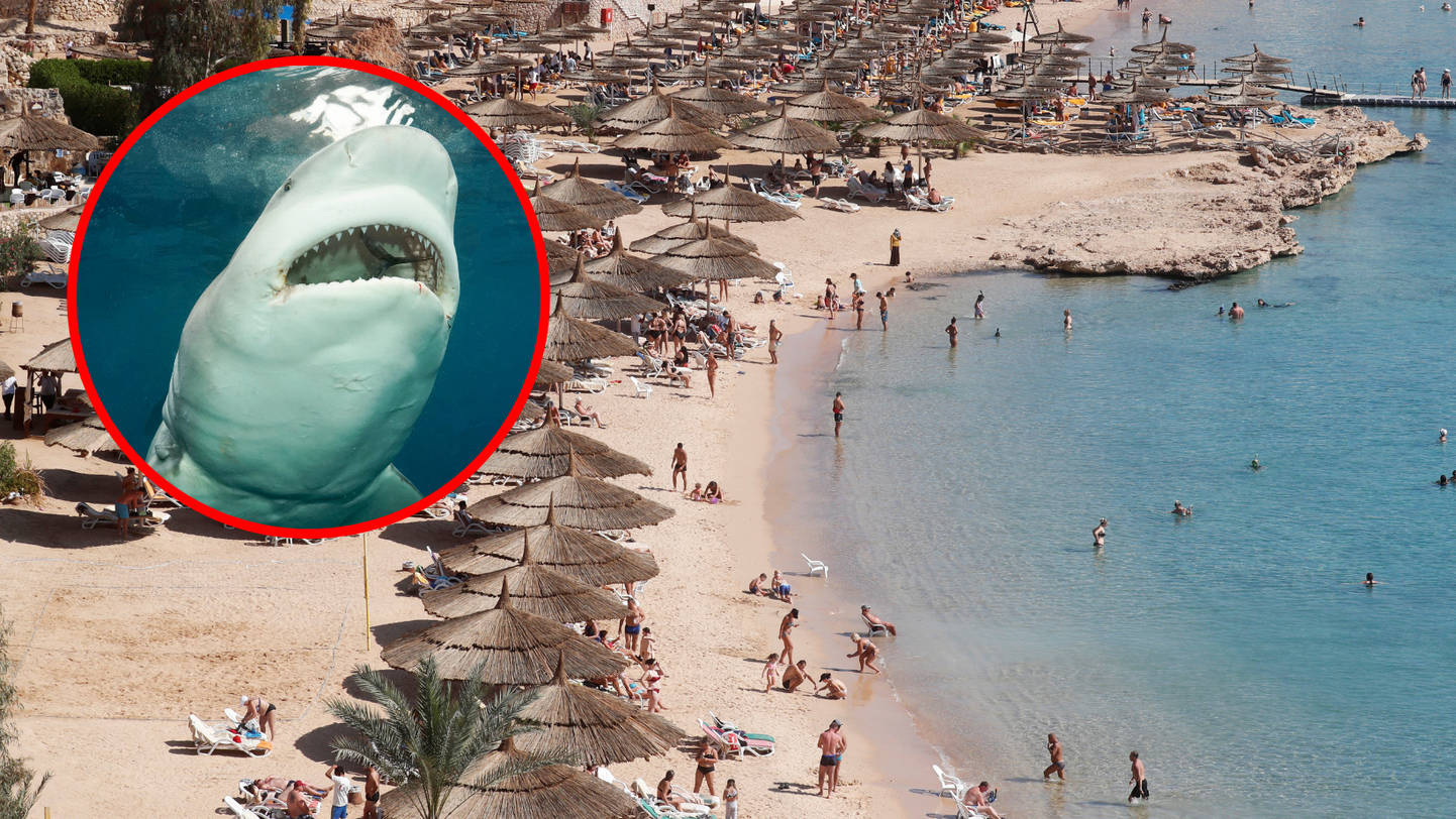Egiptuses ründas hai kohalikku naist.