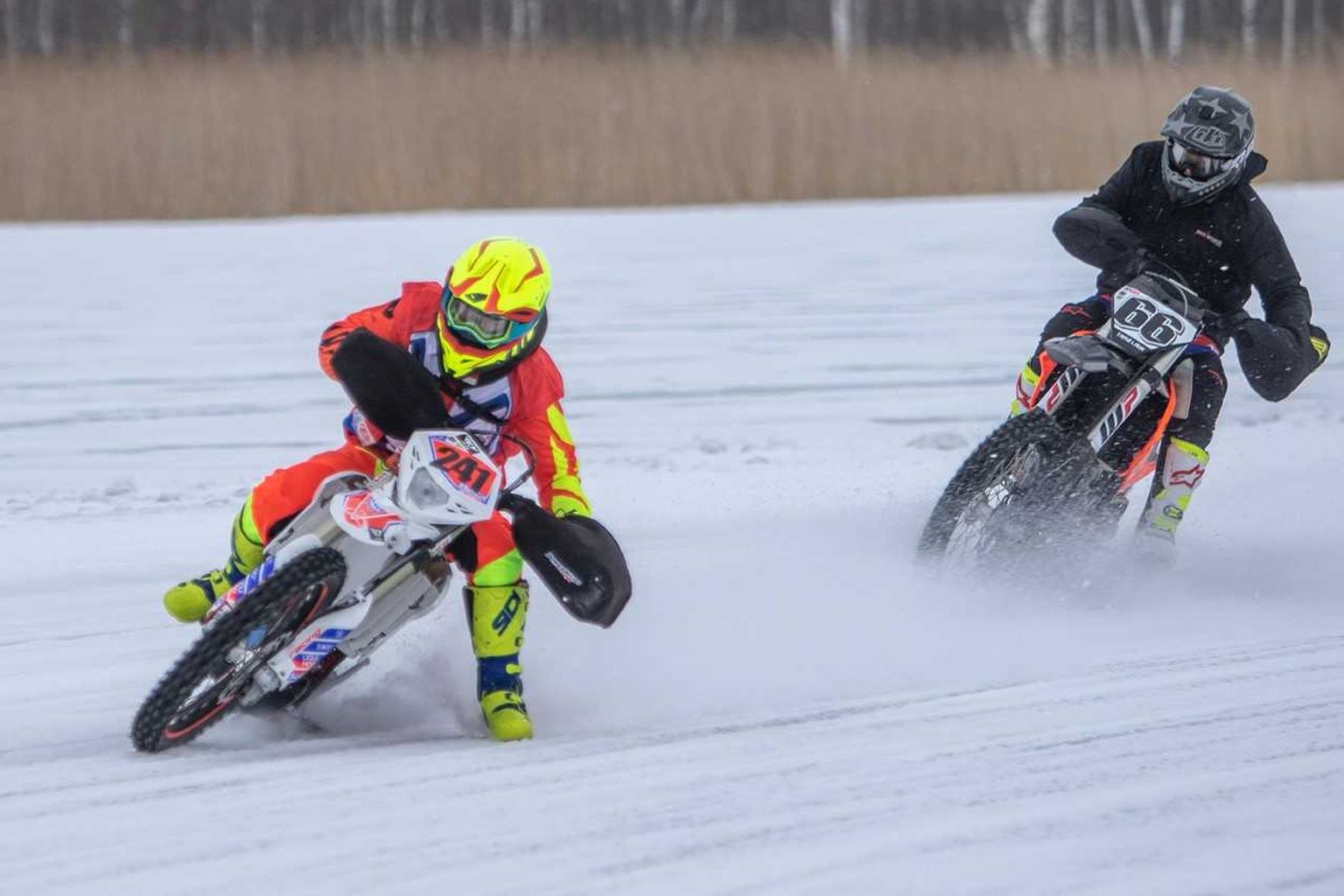 Andre Park (241) ja Taavi Laur (66).