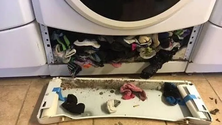 Artikli foto