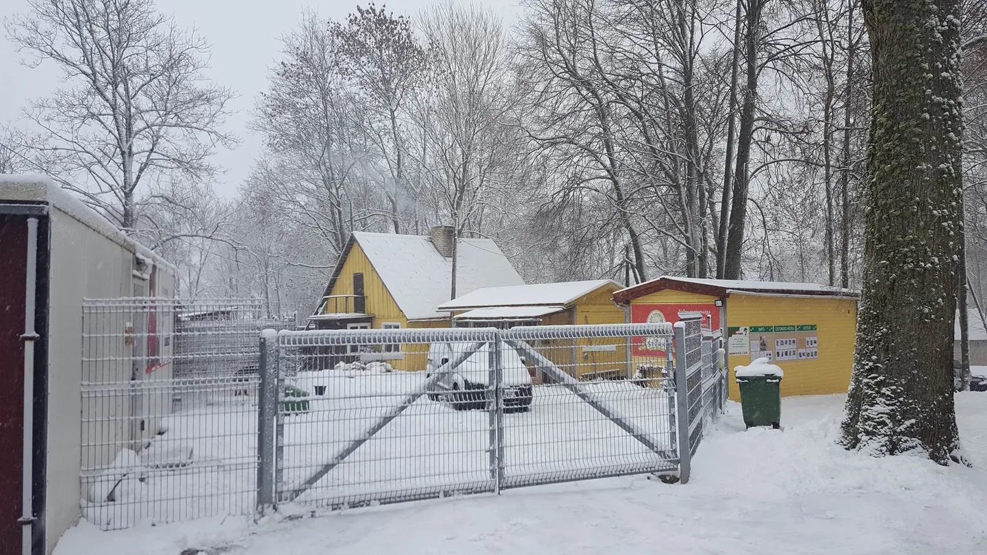 Valga loomade varjupaik